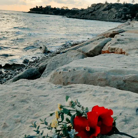 Sweet Coral Bay Sea View 3 Stocks Paphos * Peyia