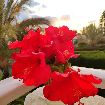 Sweet Coral Bay Sea View 3 Stocks Paphos * Peyia